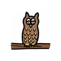 owls